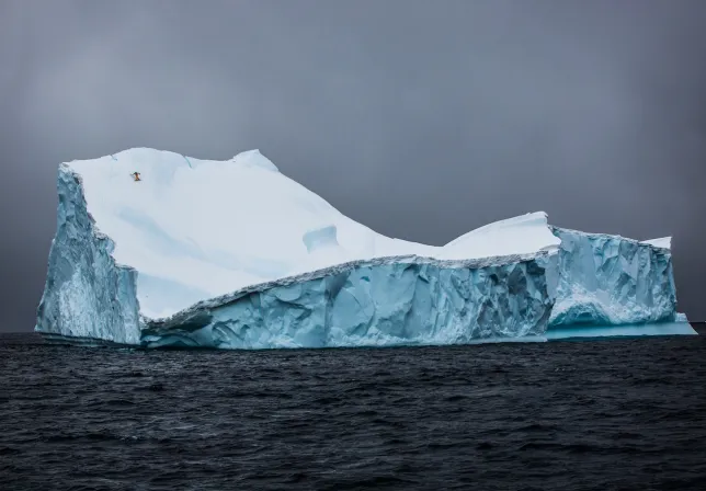 Tero Repo, Iceberg, 2012