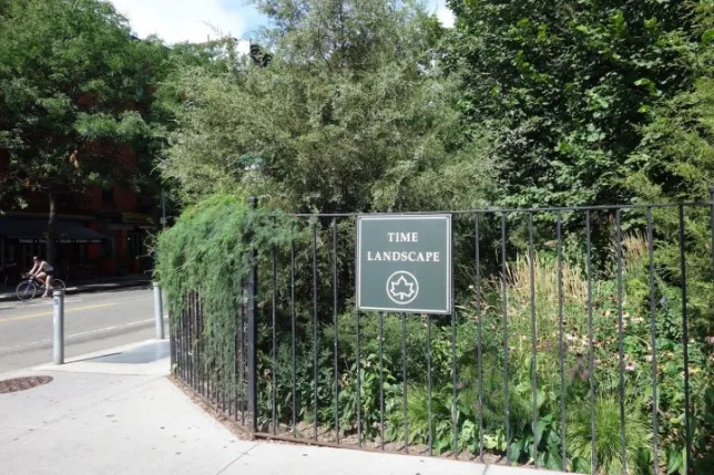 Alan Sonfist, Time Landscape, 1978Photo: the author for Hyperallergic