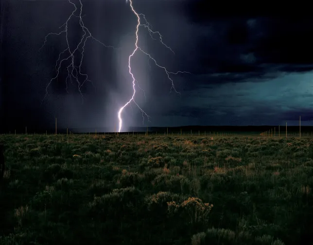 Walter De Maria, “The Lightning Field,” 1977Photo: John Cliett © Dia Art Foundation.